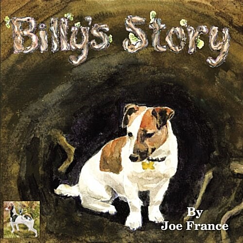 Billys Story (Paperback)