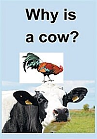 Why Is a Cow? (Paperback)