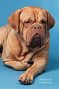 Password Notebook: Medium-Size Internet Address and Password Logbook / Journal / Diary - French Mastiff Cover (Paperback)