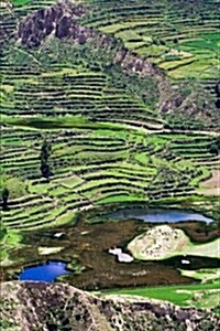 Terraced Field in Colca Canyon Peru Journal: 150 Page Lined Notebook/Diary (Paperback)