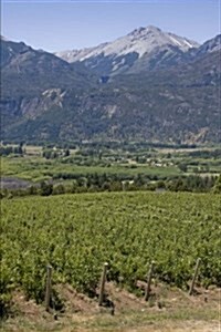 Vineyard in Bolson Argentina Journal: 150 Page Lined Notebook/Diary (Paperback)