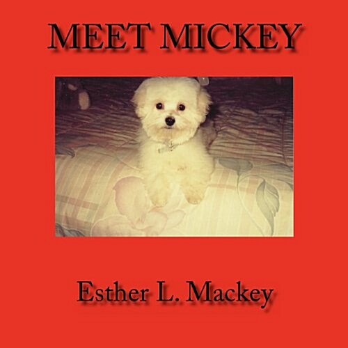 Meet Mickey (Paperback)