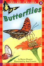 Butterflies 