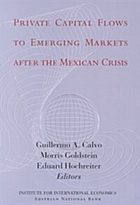 Private Capital Flows to Emerging Markets After the Mexican Crisis (Paperback)