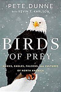 Birds of Prey: Hawks, Eagles, Falcons, and Vultures of North America (Hardcover)