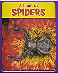 A Look at Spiders (Paperback)