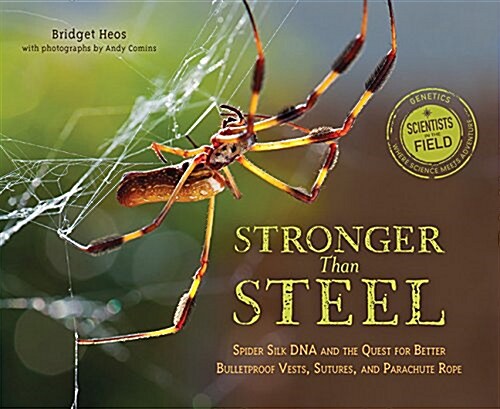 Stronger Than Steel: Spider Silk DNA and the Quest for Better Bulletproof Vests, Sutures, and Parachute Rope (Paperback)