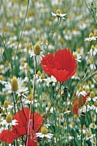 My Journal: Poppy Flower and Chamomile, Blank 150 Page Lined Diary / Journal / Notebook (Paperback)