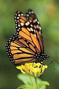 My Journal: Monarch Butterfly on Yellow Flower, Blank 150 Page Lined Diary / Journal / Notebook (Paperback)