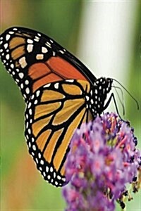 My Journal: Monarch Butterfly on Purple Flower, Blank 150 Page Lined Diary / Journal / Notebook (Paperback)
