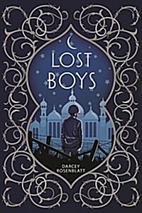 Lost Boys (Hardcover)