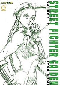 Street Fighter Gaiden, Volume 2 (Paperback)