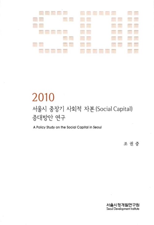 2010 서울시 중장기 사회적 자본 증대방안 연구