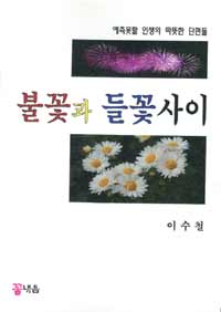 불꽃과 들꽃사이 : 예측 못할 인생의 따뜻한 단편들 : 이수철 단편 소설