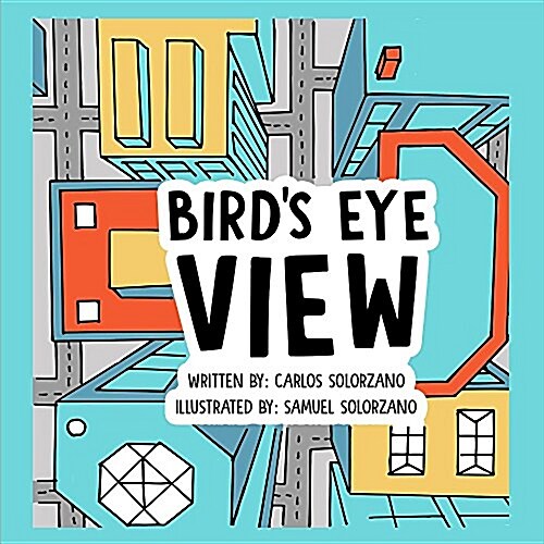 Birds Eye View (Paperback)