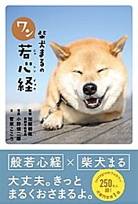 柴犬まるのワン若心經 (單行本)