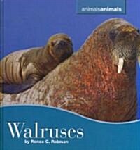 Walruses (Library Binding)