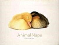 Animal Naps (Hardcover)