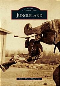 Jungleland (Paperback)