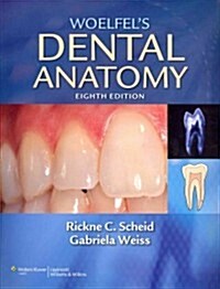 Woelfels Dental Anatomy + Stedmans Medical Dictionary for the Dental Professions (Paperback, 8th, PCK)