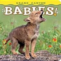 Grand Canyon Babies! (Board Books)