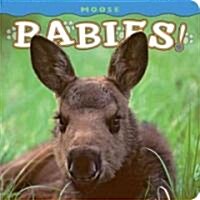 Moose Babies! (Board Books)
