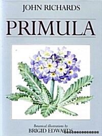 Primula (Hardcover)