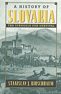 A History of Slovakia (Paperback)