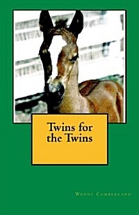 Twins for the Twins (Paperback)