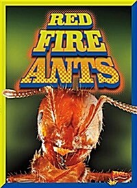 Red Fire Ants (Library Binding)