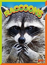 Raccoons (Library Binding)