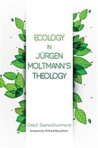 Ecology in Jurgen Moltmanns Theology (Paperback)