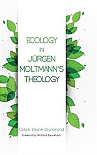 Ecology in Jurgen Moltmanns Theology (Hardcover)