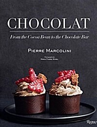 Chocolat: From the Cocoa Bean to the Chocolate Bar (Hardcover)