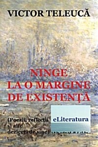 Ninge La O Margine de Existenta: Poezii, Reflectii Si Alte Deziceri de Sine (Paperback)