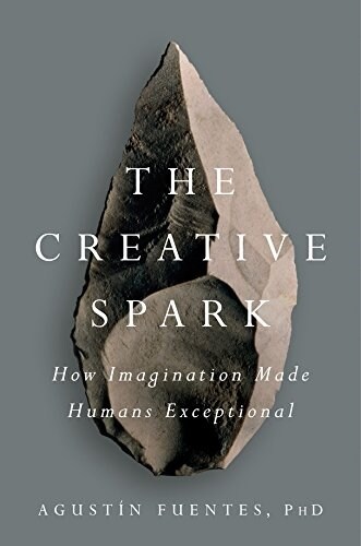 The Creative Spark: How Imagination Made Humans Exceptional (Hardcover)