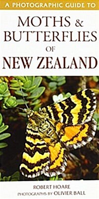 A Photographic Guide to Moths & Butterflies of New Zealand (Paperback)