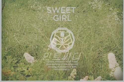 [중고] B1A4 - 미니 6집 Sweet Girl [Boy, Flower, Butterfly 버전 중 랜덤 발송]