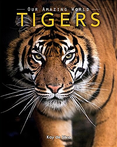 Tigers: Amazing Pictures & Fun Facts on Animals in Nature (Paperback)