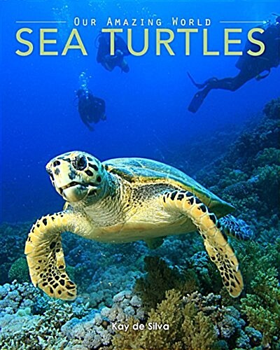 Sea Turtles: Amazing Pictures & Fun Facts on Animals in Nature (Paperback)