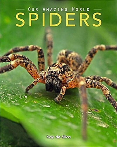 Spiders: Amazing Pictures & Fun Facts on Animals in Nature (Paperback)