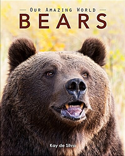 Bears: Amazing Pictures & Fun Facts on Animals in Nature (Paperback)