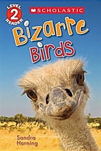 Bizarre Birds (Paperback)