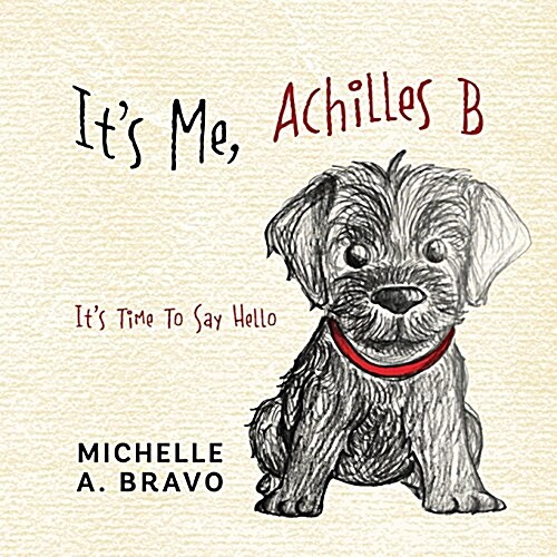 Its Me, Achilles B: Its Time to Say Hello (Paperback)