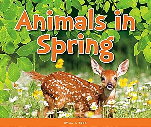Animals in Spring (Library Binding)