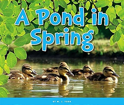 A Pond in Spring (Library Binding)