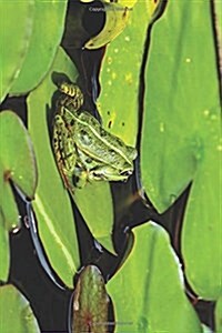 My Journal: Toad Relaxing on Leaf, Blank 150 Page Lined Diary / Journal / Notebook (Paperback)