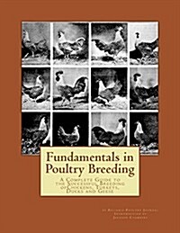 Fundamentals in Poultry Breeding: A Complete Guide to the Successful Breeding Ofchickens, Turkeys, Ducks and Geese (Paperback)
