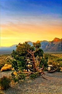 Red Rock Canyon Nevada Journal: 150 Page Lined Notebook/Diary (Paperback)