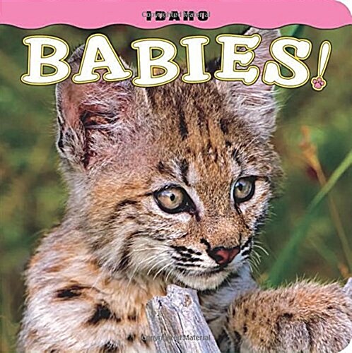 Idaho Babies! (Hardcover)